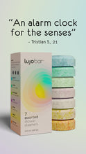 Load and play video in Gallery viewer, Lavender Orange Shower Steamer 2-Pack | Vegan, Cruelty Free &amp; Phthalates Free
